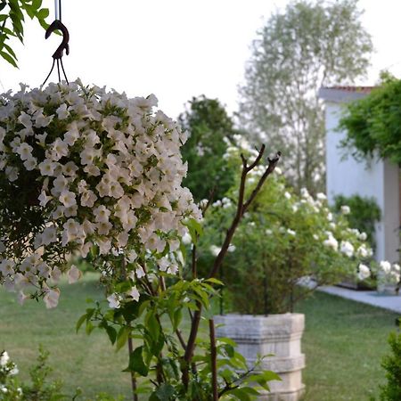 Two Elegant Depandance Conscio Exterior foto