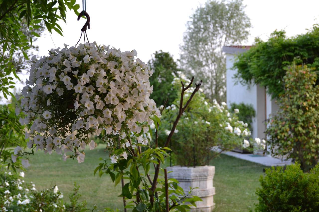 Two Elegant Depandance Conscio Exterior foto